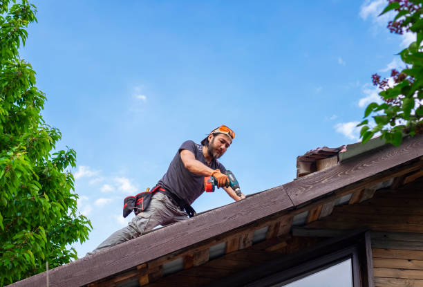 Best Cold Roofs  in Fishhook, AK