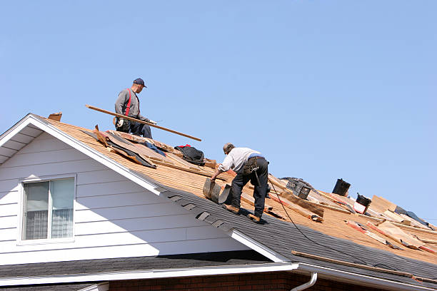 Best Roof Coating and Sealing  in Fishhook, AK